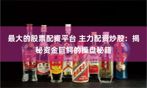 最大的股票配资平台 主力配资炒股：揭秘资金巨鳄的操盘秘籍