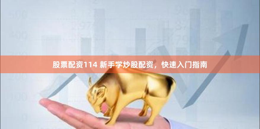 股票配资114 新手学炒股配资，快速入门指南