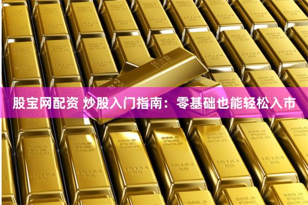 股宝网配资 炒股入门指南：零基础也能轻松入市