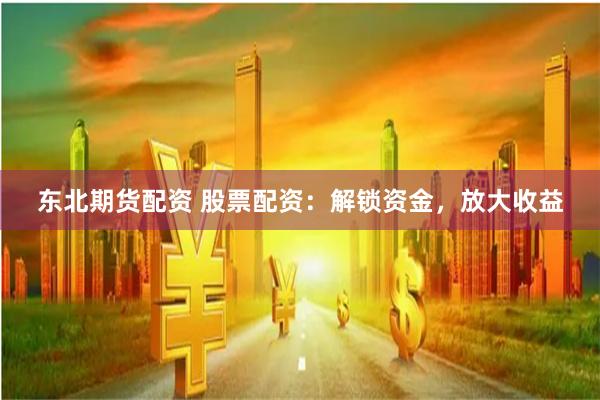 东北期货配资 股票配资：解锁资金，放大收益