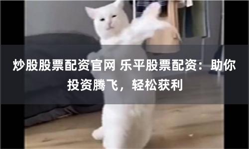 炒股股票配资官网 乐平股票配资：助你投资腾飞，轻松获利