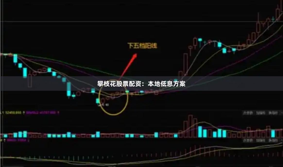 攀枝花股票配资：本地低息方案