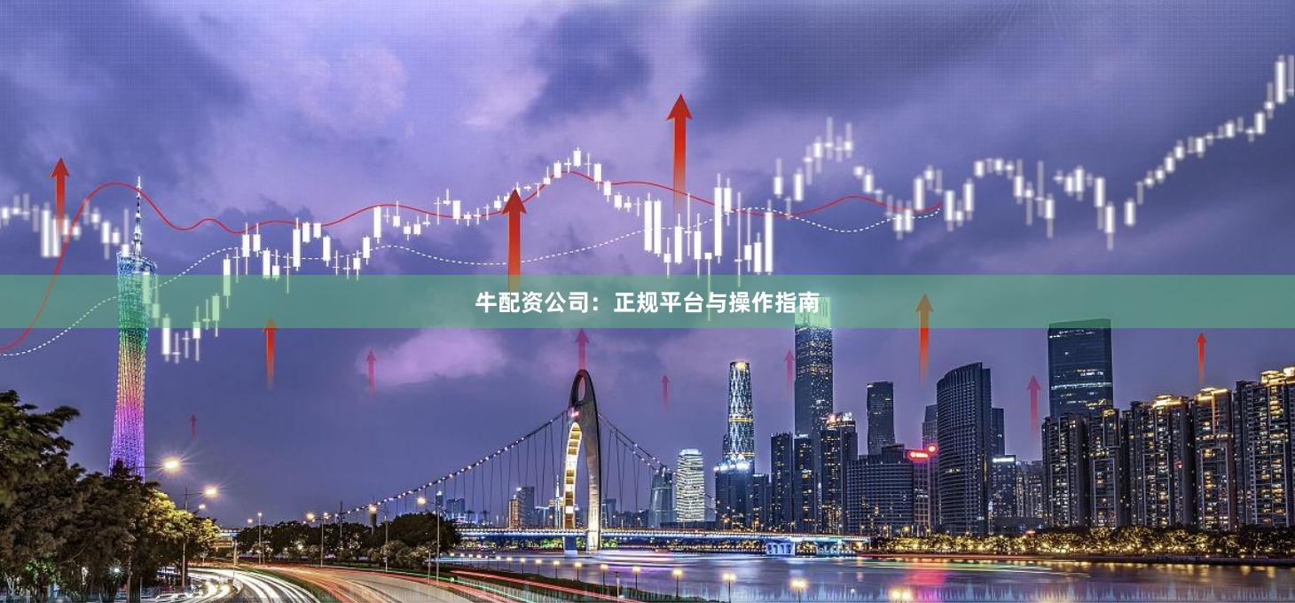 牛配资公司：正规平台与操作指南