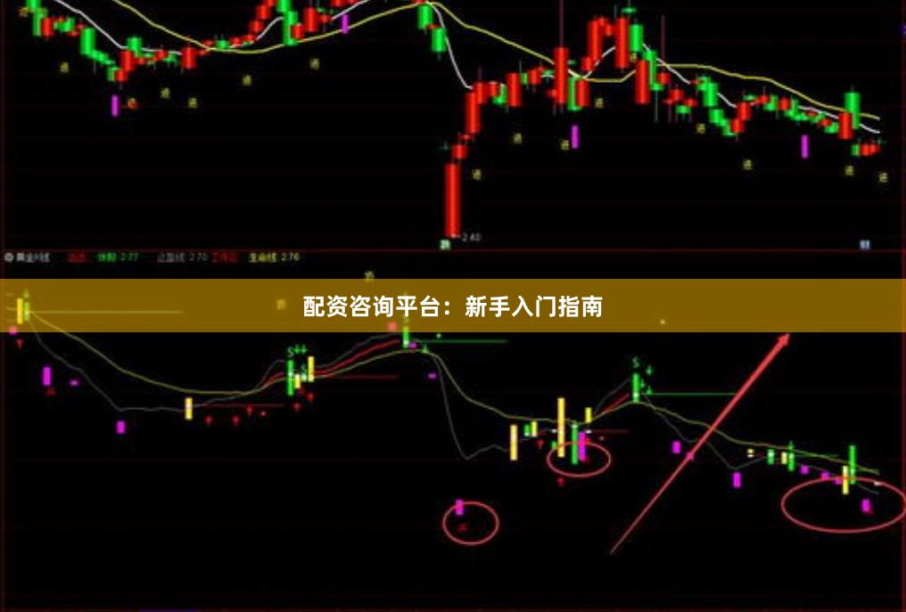 配资咨询平台：新手入门指南